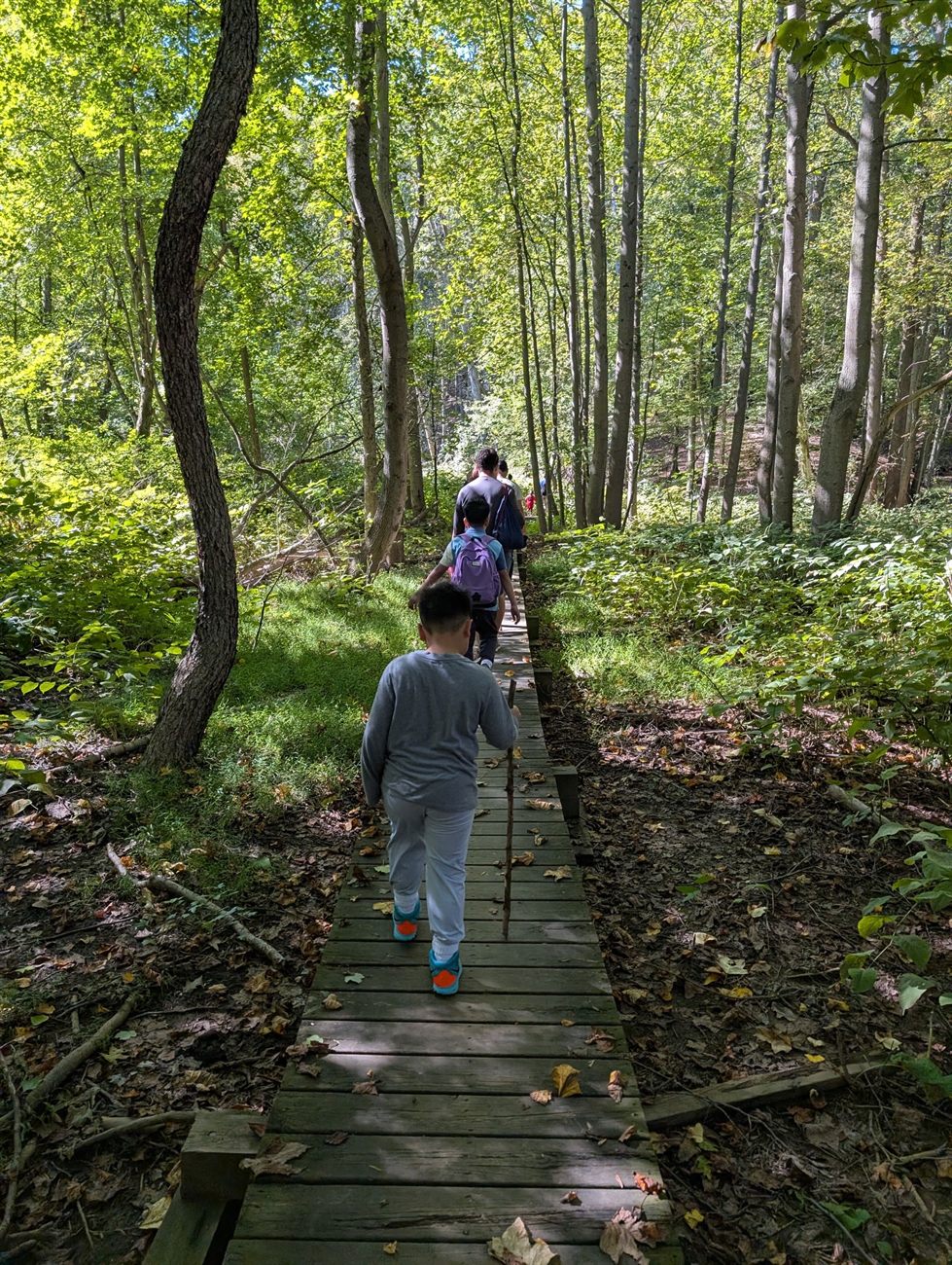 Wilderness Ramblers scouts hiking a forest boardwalk trail